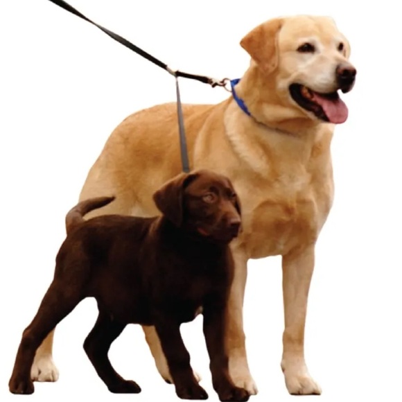 Sporn Double-Dog™ Leash - Picture 1 of 10